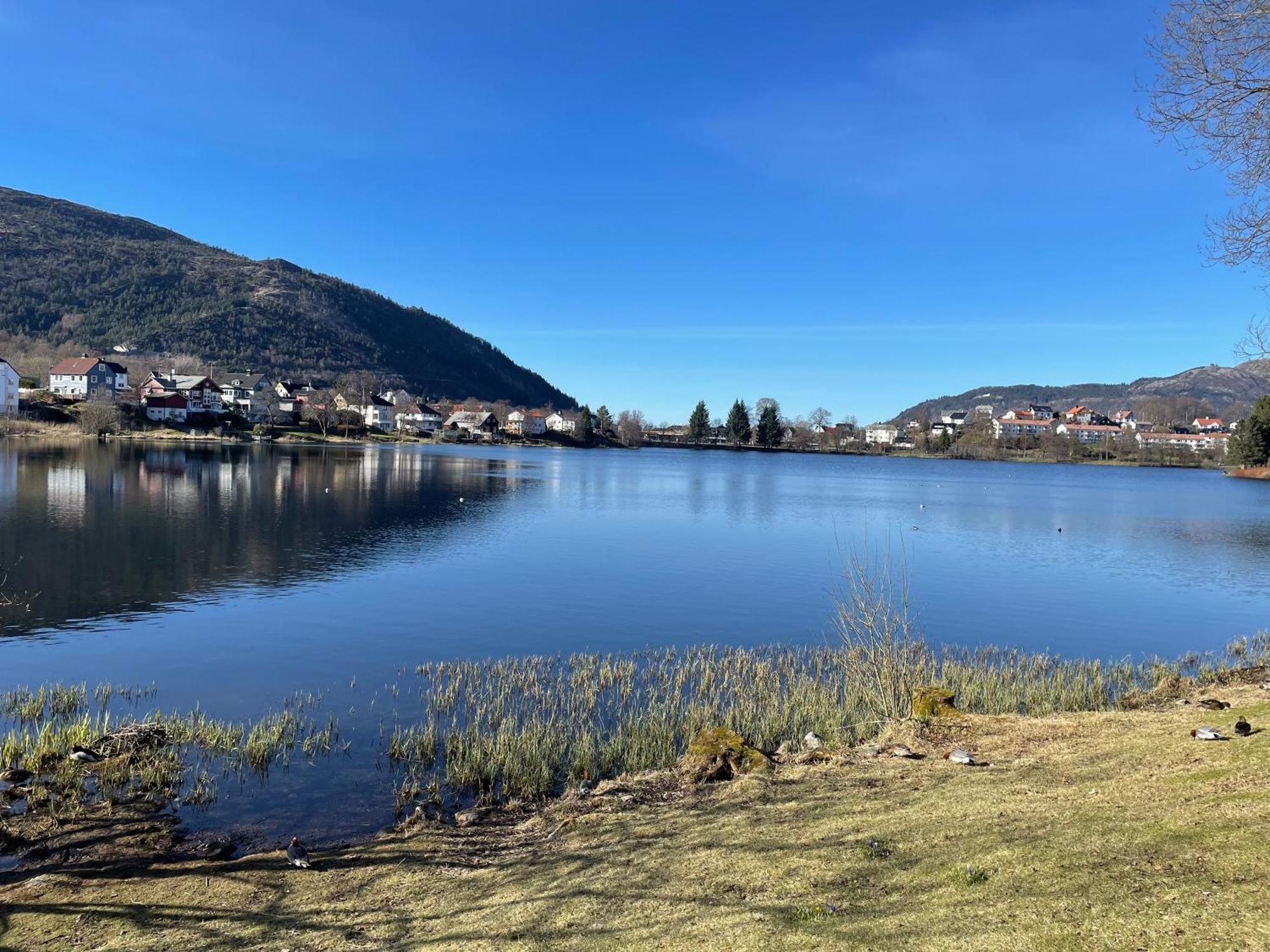 3 Sleeping Rooms For 82M2 Which Direct Traffic To Airport And City Center Bergen Exterior photo